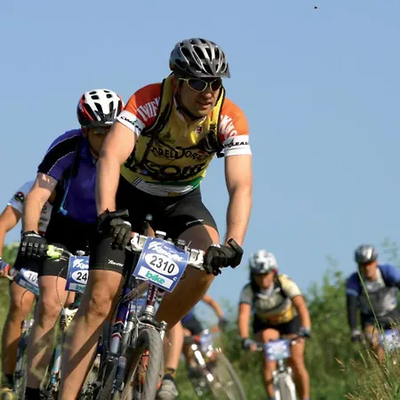 Casa vacanze Schwedenhaus Uplandalm Willingen (Upland)