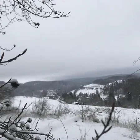 Ferienhaus Schwedenhaus Uplandalm Willingen (Upland)