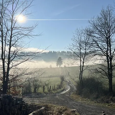Schwedenhaus Uplandalm Willingen (Upland)