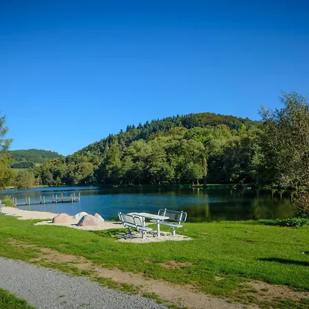 Ferienhaus Schwedenhaus Uplandalm Willingen (Upland)