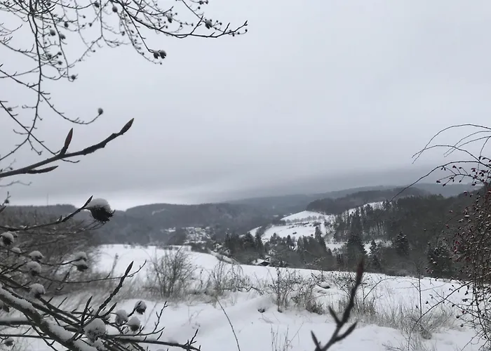 Hébergement de vacances Schwedenhaus Uplandalm Willingen (Upland)