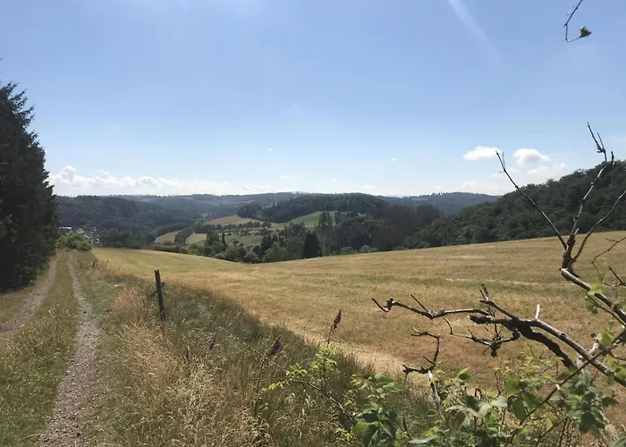 Schwedenhaus Uplandalm * 빌링겐